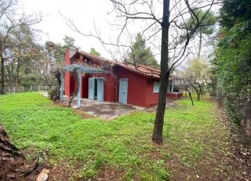 264233048_290106176447304_5968558529957534624_n.jpg