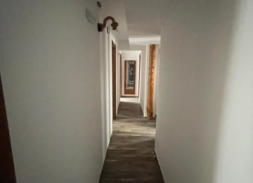 292696388_345721144259819_4585076780786296770_n.jpg